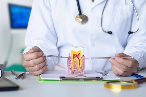 Best Emergency Denture Repair in Sea Breeze, NC